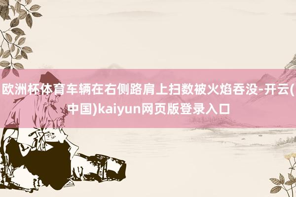 欧洲杯体育车辆在右侧路肩上扫数被火焰吞没-开云(中国)kaiyun网页版登录入口