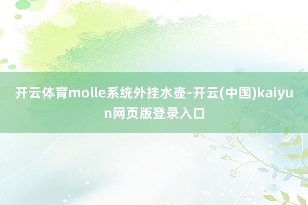 开云体育molle系统外挂水壶-开云(中国)kaiyun网页版登录入口