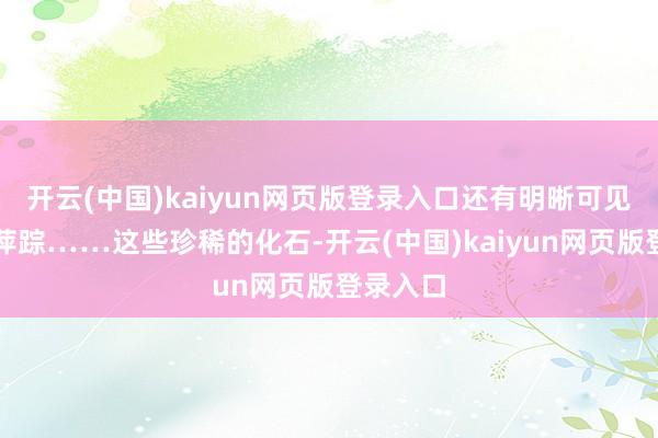 开云(中国)kaiyun网页版登录入口还有明晰可见的恐龙萍踪……这些珍稀的化石-开云(中国)kaiyun网页版登录入口